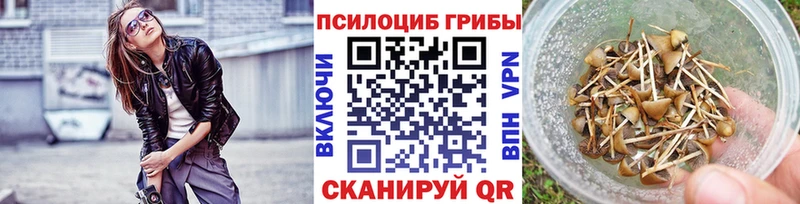 Купить где  Балахна  Псилоцибиновые грибы Psilocybe 