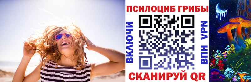 Псилоцибиновые грибы GOLDEN TEACHER Балахна