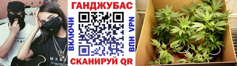 Бошки марихуана план  Купить  Балахна 